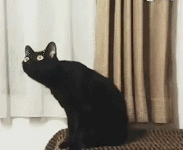 长脖子黑猫动态表情包 [dei dei dei 你说的都dei]