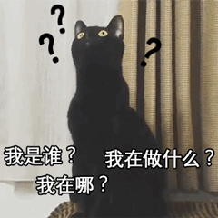 长脖子黑猫动态表情包 [dei dei dei 你说的都dei]