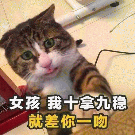 土味撩妹情话表情包 [女孩 我十拿九稳 就差你一吻]