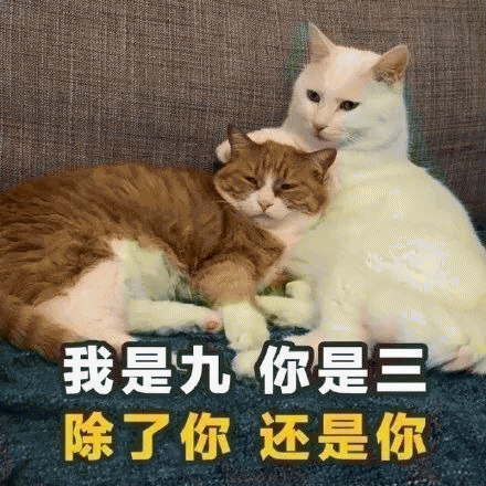 土味撩妹情话表情包 [女孩 我十拿九稳 就差你一吻]