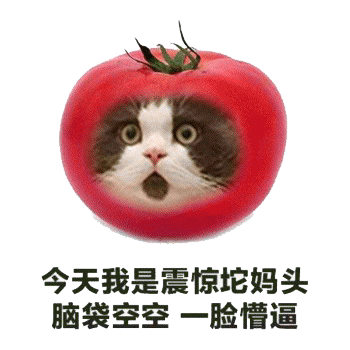 水果流泪表情包 [今天我是臭屁慢狗，我不流泪只是骂人]