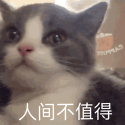 猫咪带字表情包[最近很火的表情包猫都在这里]全套200张