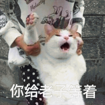 猫咪带字表情包[最近很火的表情包猫都在这里]全套200张