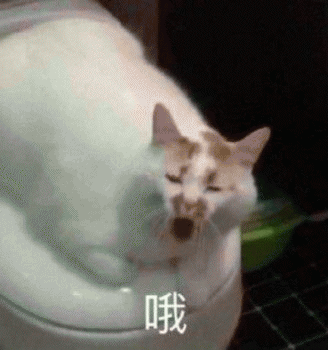 猫咪带字表情包[最近很火的表情包猫都在这里]全套200张