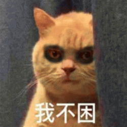 橘猫表情包超聊天搞笑图片