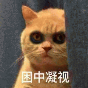 橘猫表情包 [我妈不让我跟傻子玩]