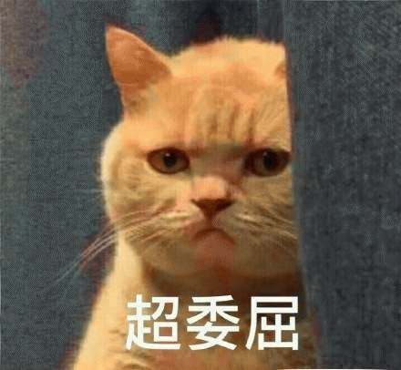 橘猫表情包 [我妈不让我跟傻子玩]