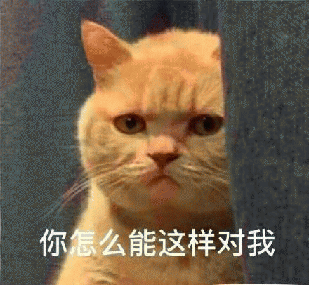 橘猫表情包 [我妈不让我跟傻子玩]