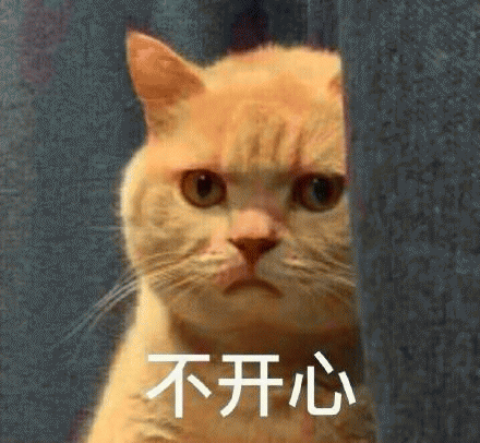 橘猫表情包 [我妈不让我跟傻子玩]