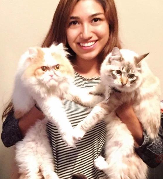 看看最新网红愤怒猫